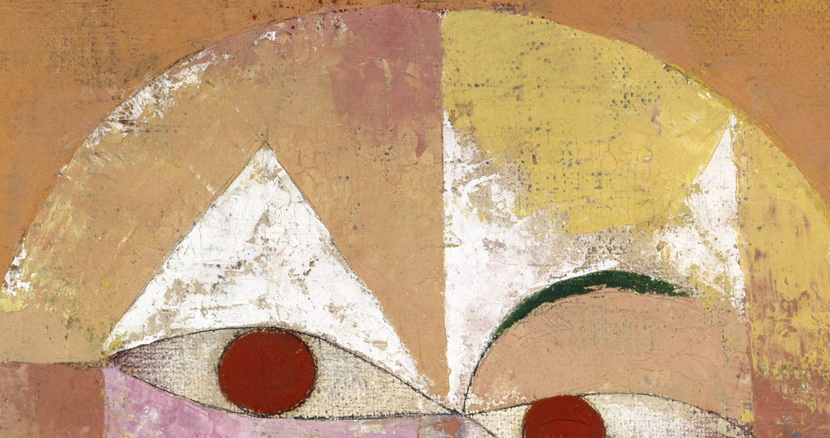 Detail 1: Upper head and divided colour in Senecio